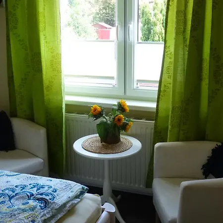 Bnb Pension Luettje Suennbloem Leer